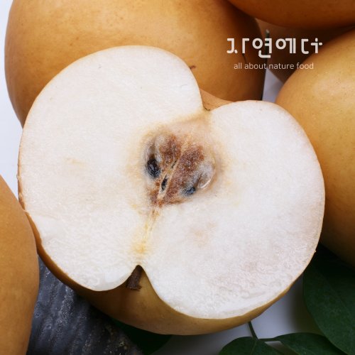 추가2이미지