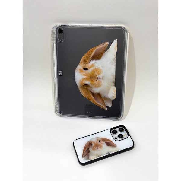Rabbit iPad case