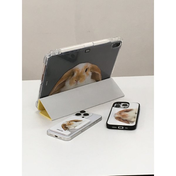 Rabbit iPad case