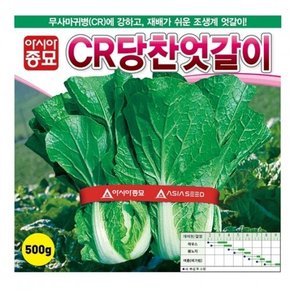 배추씨앗종자 CR당찬엇갈이 (500g)