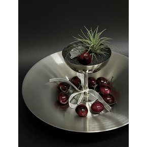 이오난사 (Tillandsia ionantha) 스테인레스 고블렛