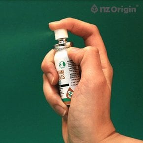 뿌리는 뉴질랜드 프로폴리스 구강 스프레이 15ml 6병 비프로폴리스 원액 액상 키즈 목 입냄새제거 코스트코