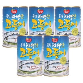 동원 고등어통조림 300g x 5캔 / 통조림 고등어캔