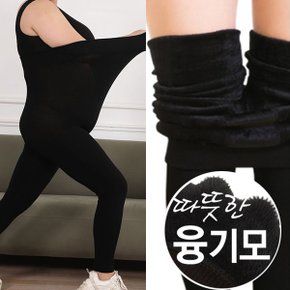 융털레깅스무발 빅사이즈스타킹 팬티스타킹 검정 스타킹 골프스타킹_P409444999