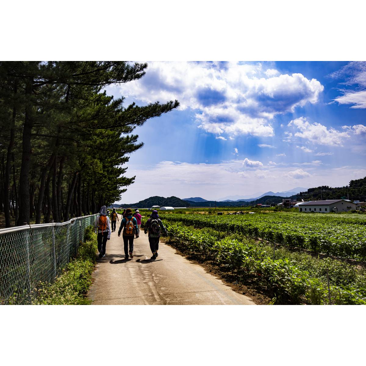 확대된 대표 https://media.eoding.com/media/travelagent/40/imagecontent/a_EF6A9888.jpg