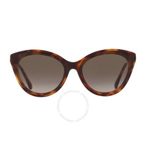 4664880 Jimmy Choo Brown Gradient Cat Eye Ladies Sunglasses