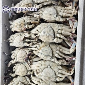 냉동 알배기 암꽃게 10kg (32마리 내외) 봄어획