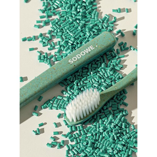 우드칩 양면미세모 칫솔 가을하늘 민트 x 1개