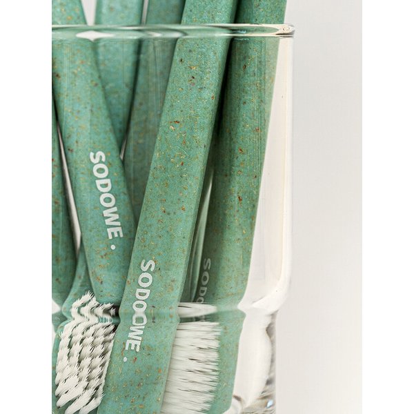 우드칩 양면미세모 칫솔 가을하늘 민트 x 1개