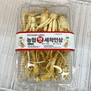 트레이더스 햇 세척인삼 750g