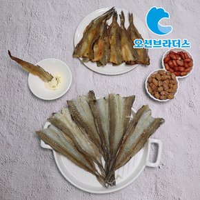 손질 노가리 청대구포 1kg