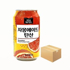 미닛메이드 자몽에이드 탄산 355ml x 24개