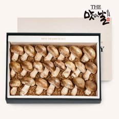 [1/13(월) 순차출고]무농약 참송화버섯 프리미엄 선물세트 1kg/23~26개