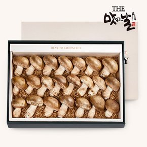 [9/2 순차출고]무농약 참송화버섯 프리미엄 선물세트 1kg/23~26개