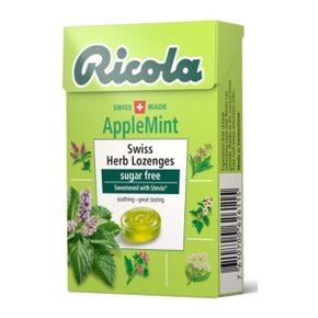 무설탕캔디 애플민트 40g