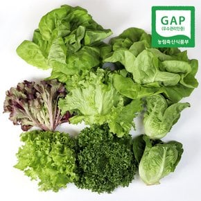 [GAP인증/산지직송] 당일수확 국내산 유럽샐러드 상추 모듬쌈채소 1kg (3종)
