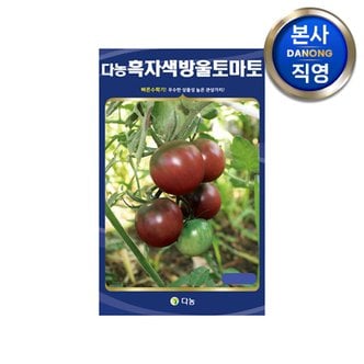 다농 흑자색 방울 토마토 씨앗 50립 . 작은 미니 씨 종자 베란다 텃밭 채소