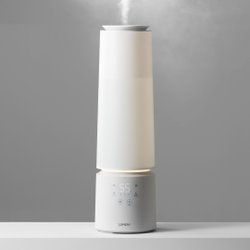 25년 곱창김 100장 상급 350g