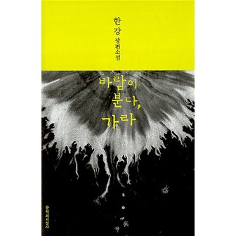  문학과지성사 바람이 분다, 가라 - 한강 장편소설