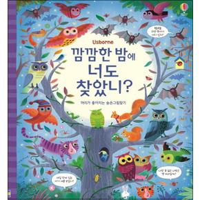 깜깜한 밤에 너도 찾았니 - 머리가 좋아지는 숨은그림찾기 (양장)