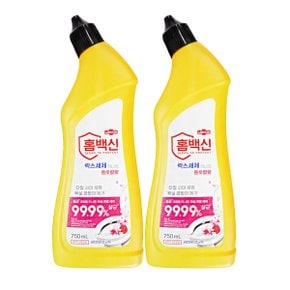애경 홈백신 락스세제 하나로 세정제 플로랄향 750ml 2개 살균 곰팡이