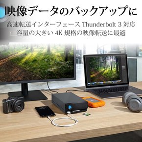 LaCie HDD 16TB 1big Dock Thunderbolt 3 USB-C MaciPadWindows [ ] 러시 외장 하드 디스크 대응