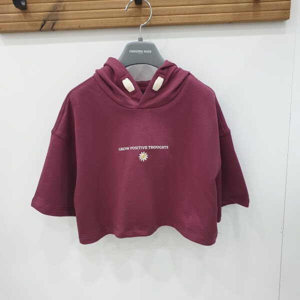 확대된 대표 1