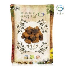 러시아산 건조 차가버섯 원물 덩어리 500g