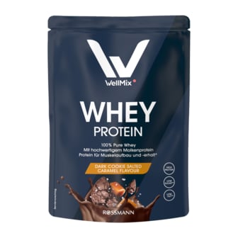  웰믹스 WellMix 프로틴 파우더 다크 쿠키 솔티드 카라멜맛 450g