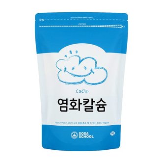 소다스쿨 제습제 리필용 구슬타입 염화칼슘 1kg