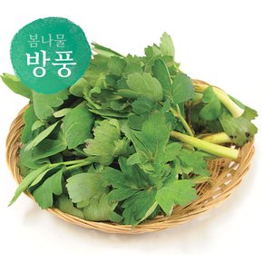 살랑살랑 봄나물 골라담기!! 달래/쑥/방풍/머위잎/취나물/냉이