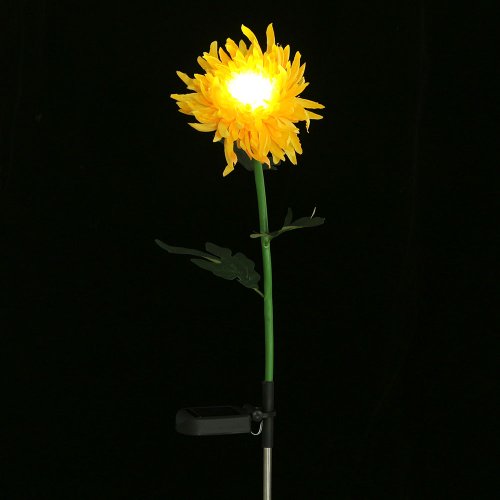 이미지6