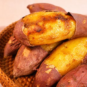 [오늘신선] 해남 산지직송 베니하루카 밤고구마 비세척 중 3kg