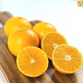 제주 황금향 가정용 벌크 1.5kg