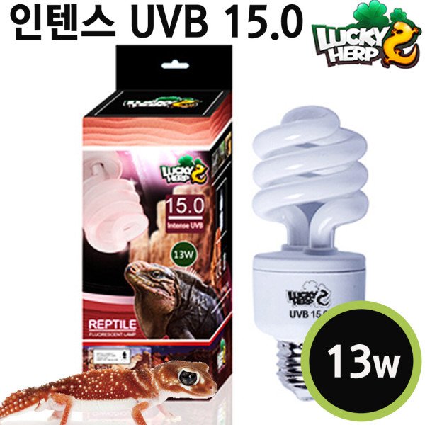 확대된 대표 상품이미지1