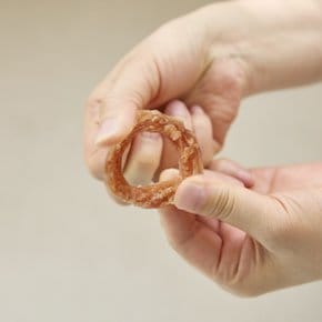 반려동물 강아지 터키 비프링