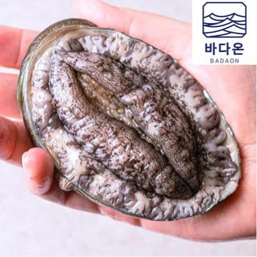 바다온 완도활전복 7-8미 1kg(마리당125g내외) [산소팩, 무료배송]