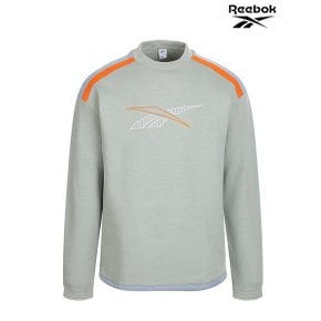 남성 트레이닝 팀스포츠 라운드 긴팔 티셔츠 CL D TEAMSPORTS CREW RETS1F.._P332924589