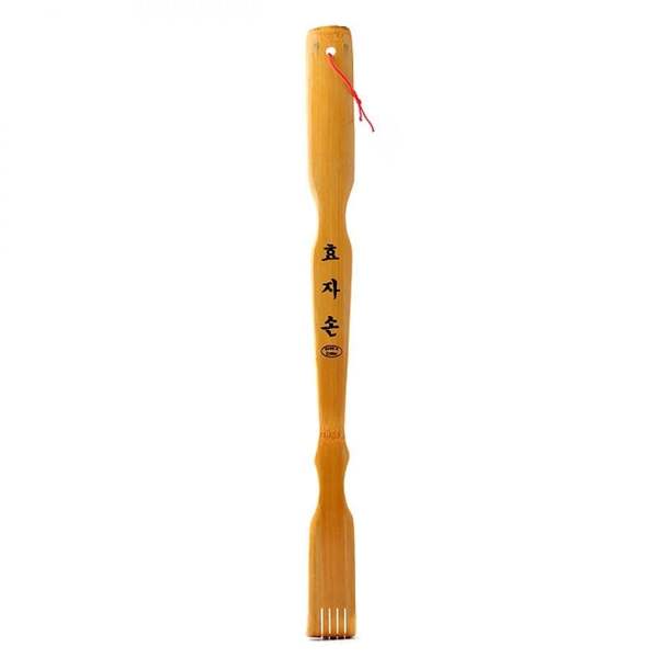 확대된 대표 이미지1