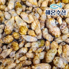 신세계라이브쇼핑 [해온수산] 거제도 제철 오만둥이 1kg
