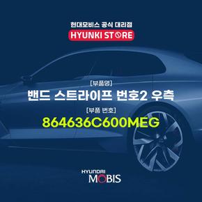 현대모비스밴드 스트라이프 번호2 우측 (864636C600MEG)