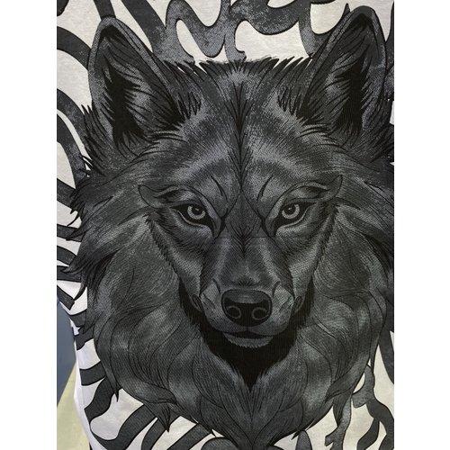 IMAGE7