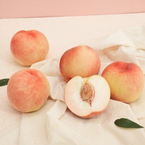 아삭달콤한 딱딱이 복숭아 랜덤과 2kg~5kg