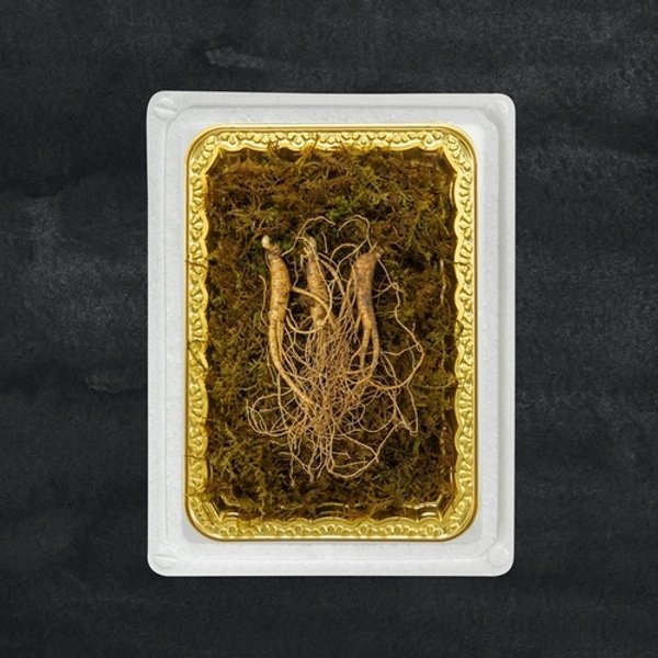 정품 프리미엄 산양삼 7-9년근/3뿌리