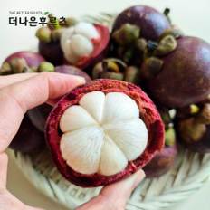 특품 고당도 신선 태국 생 망고스틴 2kg 5kg (1망 500g 내외 4~6수)