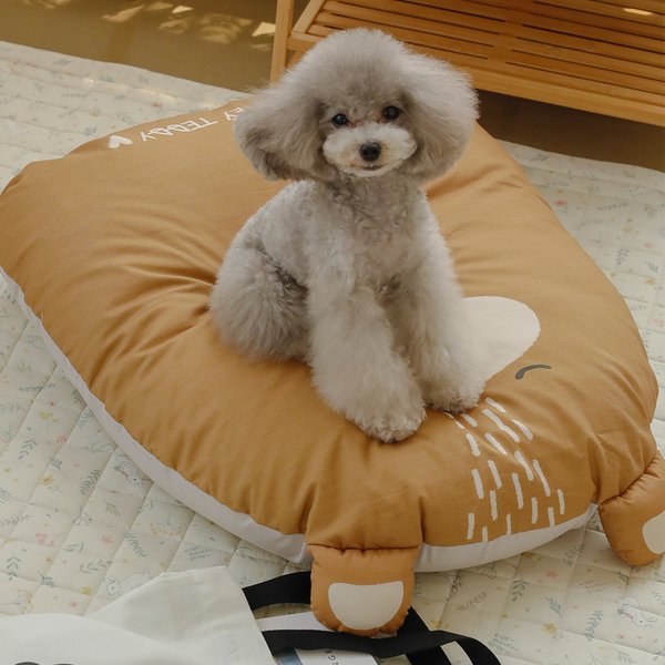 확대된 대표 대표이미지