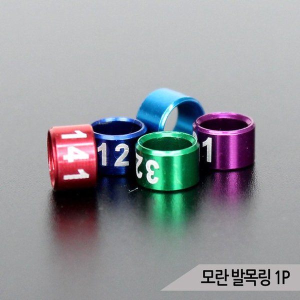 확대된 대표 대표이미지