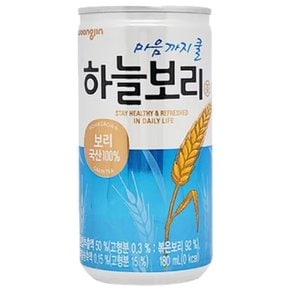 웅진 하늘보리 180ml x 30캔