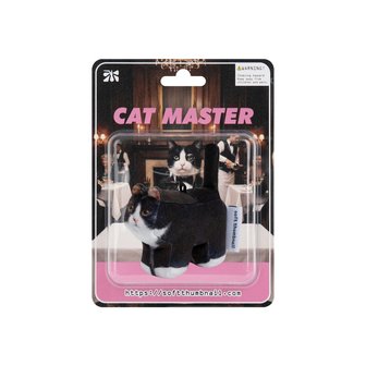 소프트썸네일 Kkami, Domestic Shorthair