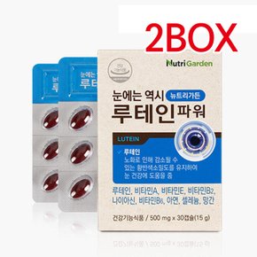 뉴트리가든  눈에는 역시 루테인파워 500mg x 30캡슐 2BOX